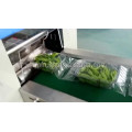 Automatic fresh fruits and vegetable processing equipment